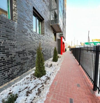 Ноябрь 2021 года