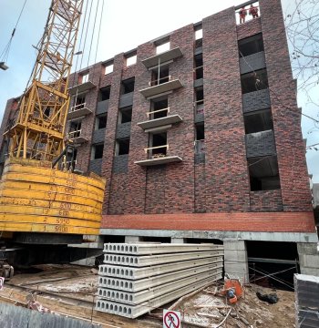 Ноябрь 2024 года