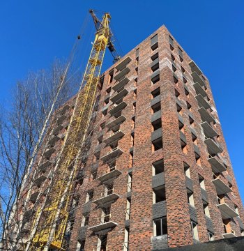 Январь 2025 года